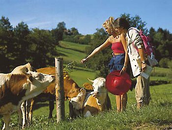 Urlaub im Bayerischen Wald im September
